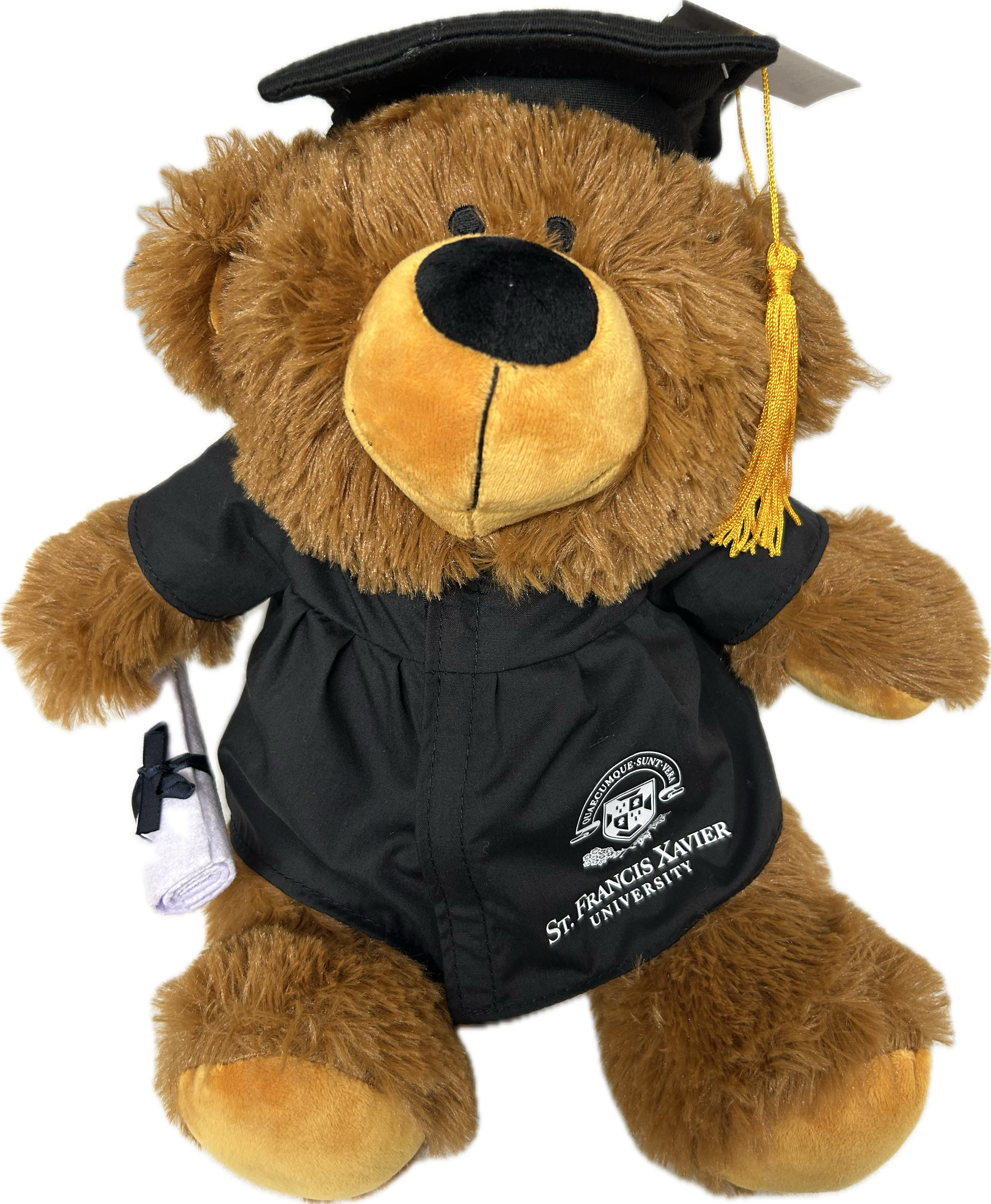 12" Grad Bear