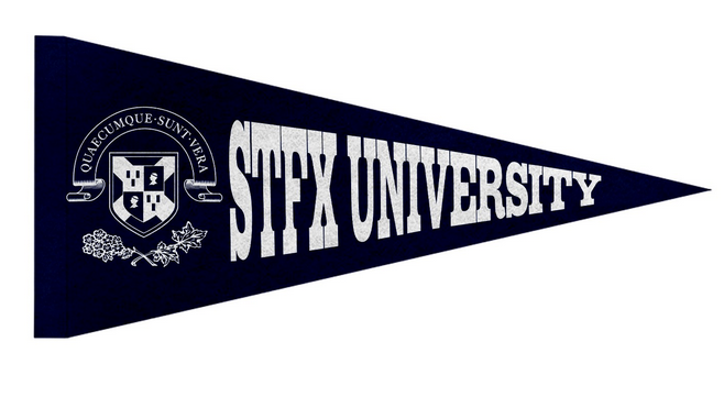 Large Pennant -Academic Crest