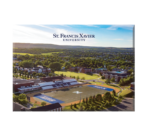 Magnet Aerial View Of Football Field
