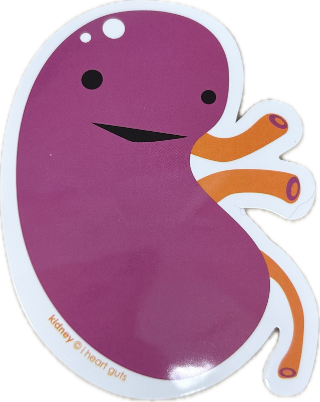Kidney Sticker