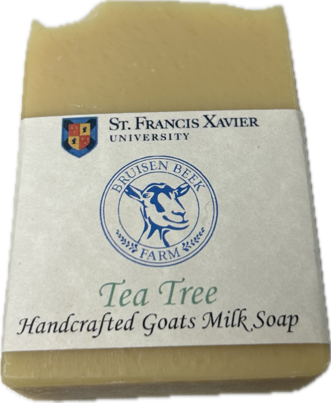 Goats Milk Soap