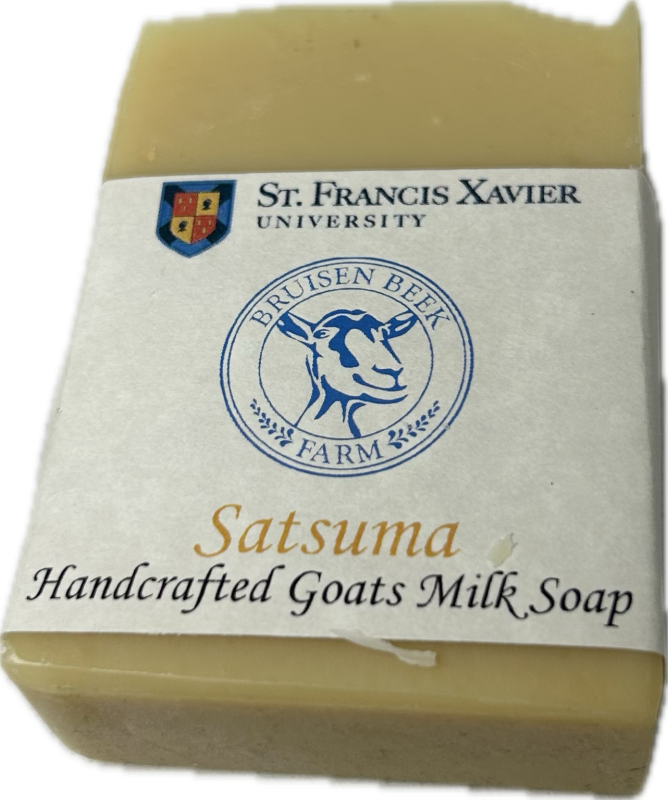 Goats Milk Soap