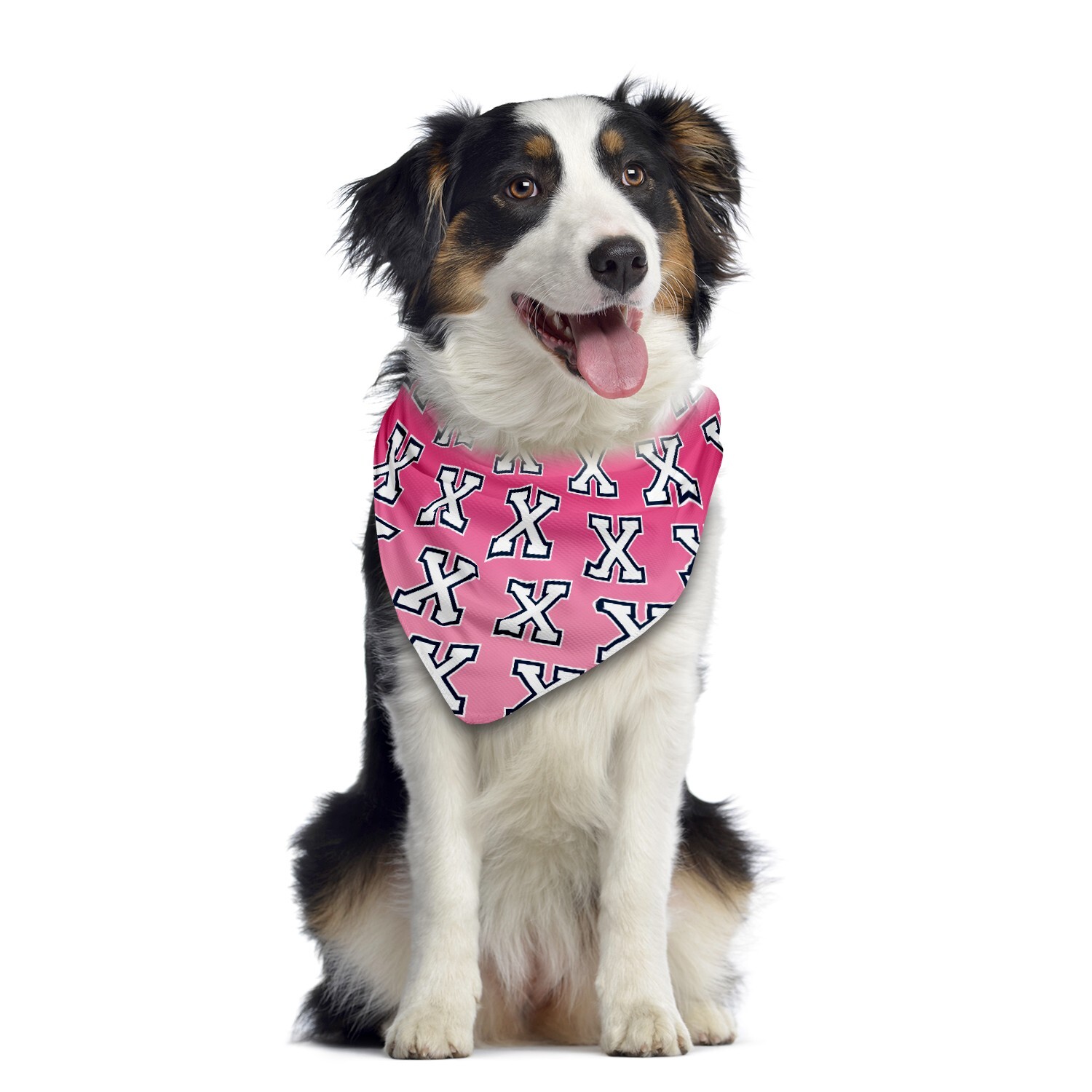 Pet "X" Bandana With Collar Loop