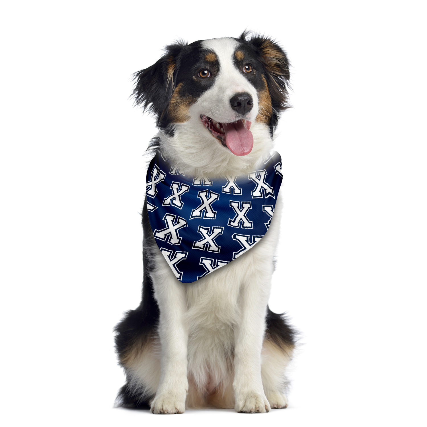 Pet "X" Bandana With Collar Loop