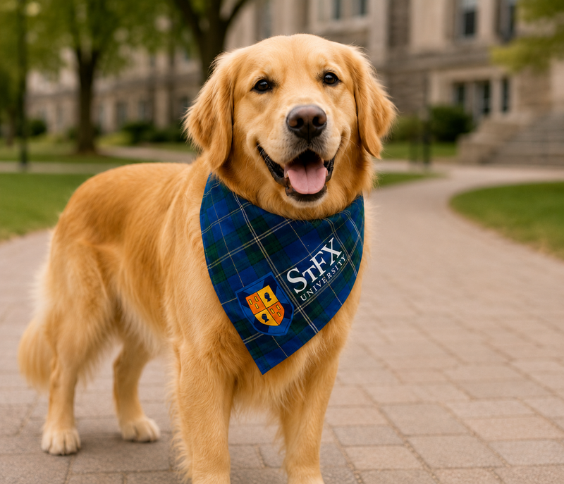 Ns Tartan Pet Bandana With Collar Loop