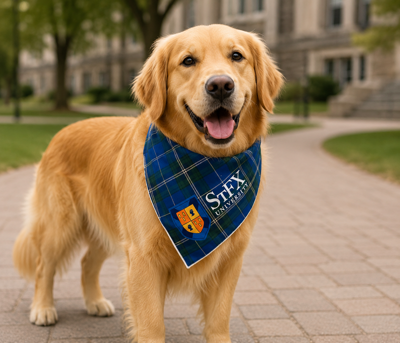 Ns Tartan Pet Bandana With Collar Loop
